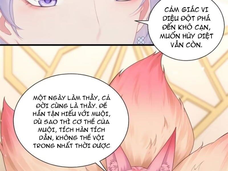 Bắt Đầu Với Tuyệt Sắc Sư Tôn: Hệ Thống Tổng Cục Phản Cốt Chapter 70 - 16