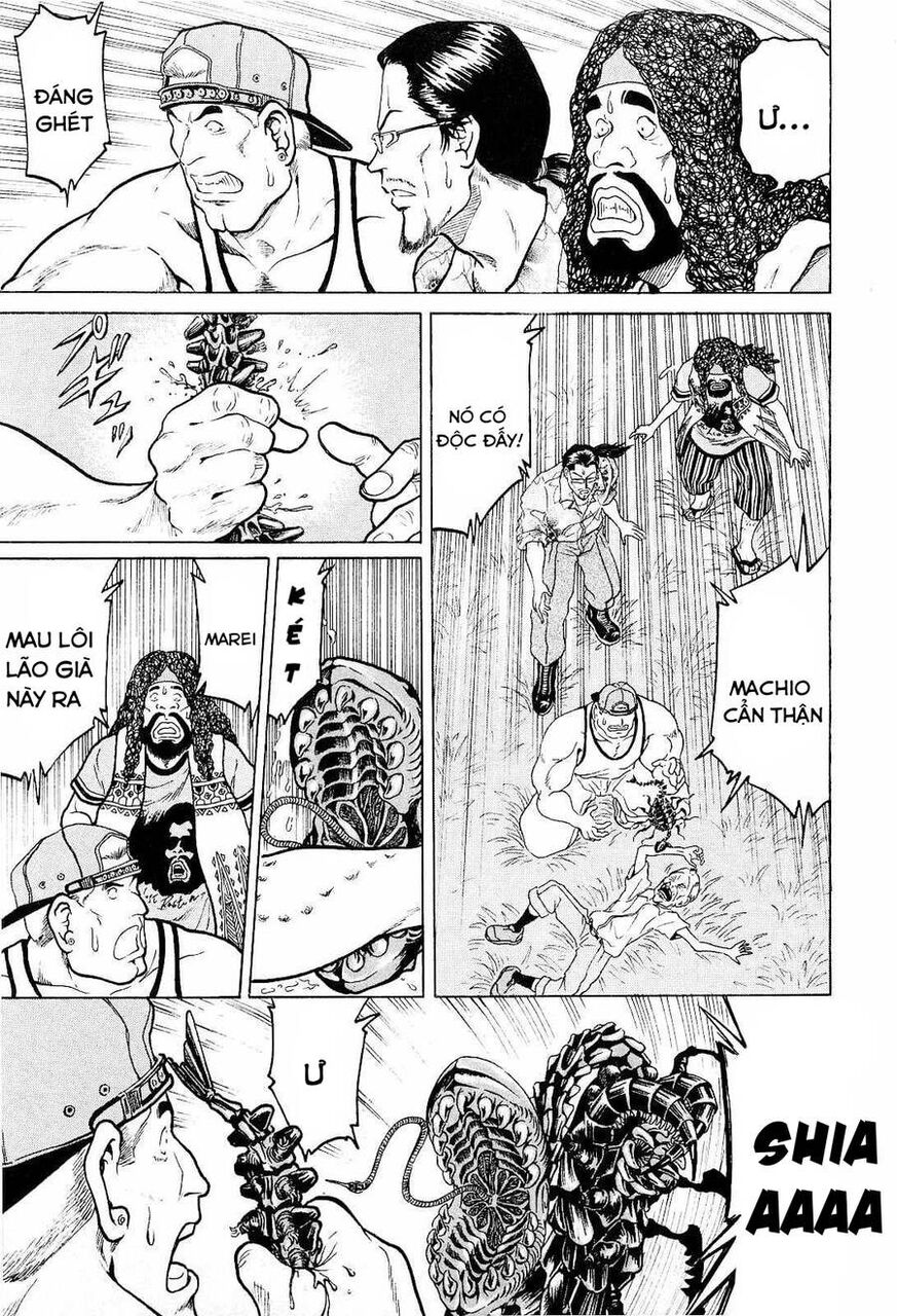 Waruta Hanga ~Truyền Thuyết Rắn Thần Đảo Yatogami~ Chapter 11 - 14