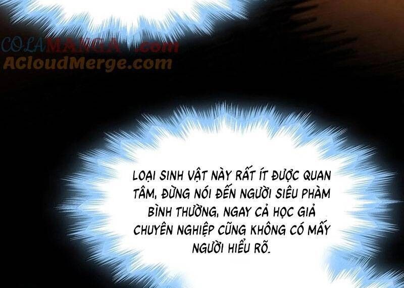 Sức Mạnh Của Ác Thần Chapter 121 - 31