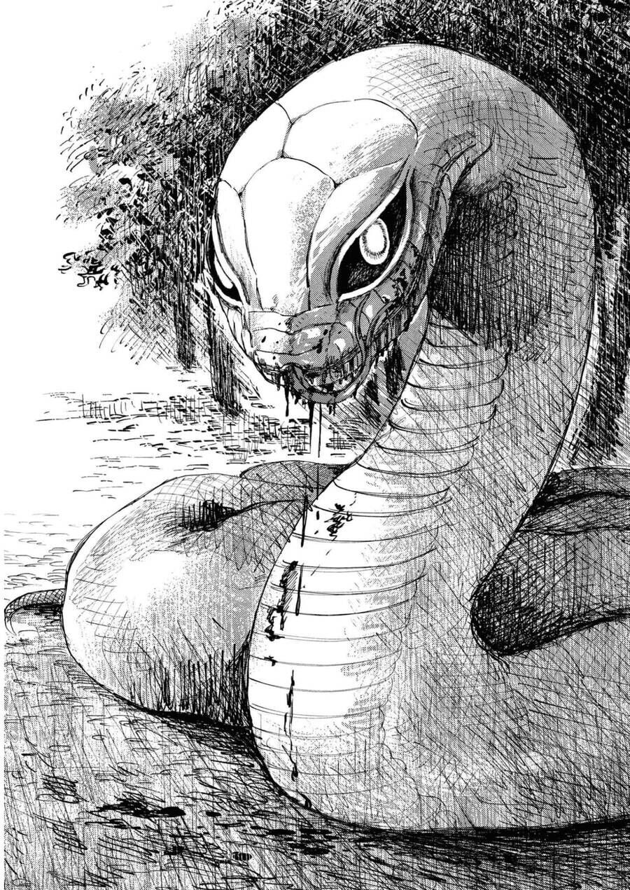 Đại Xà Phu Nhân Chapter 18 - 35