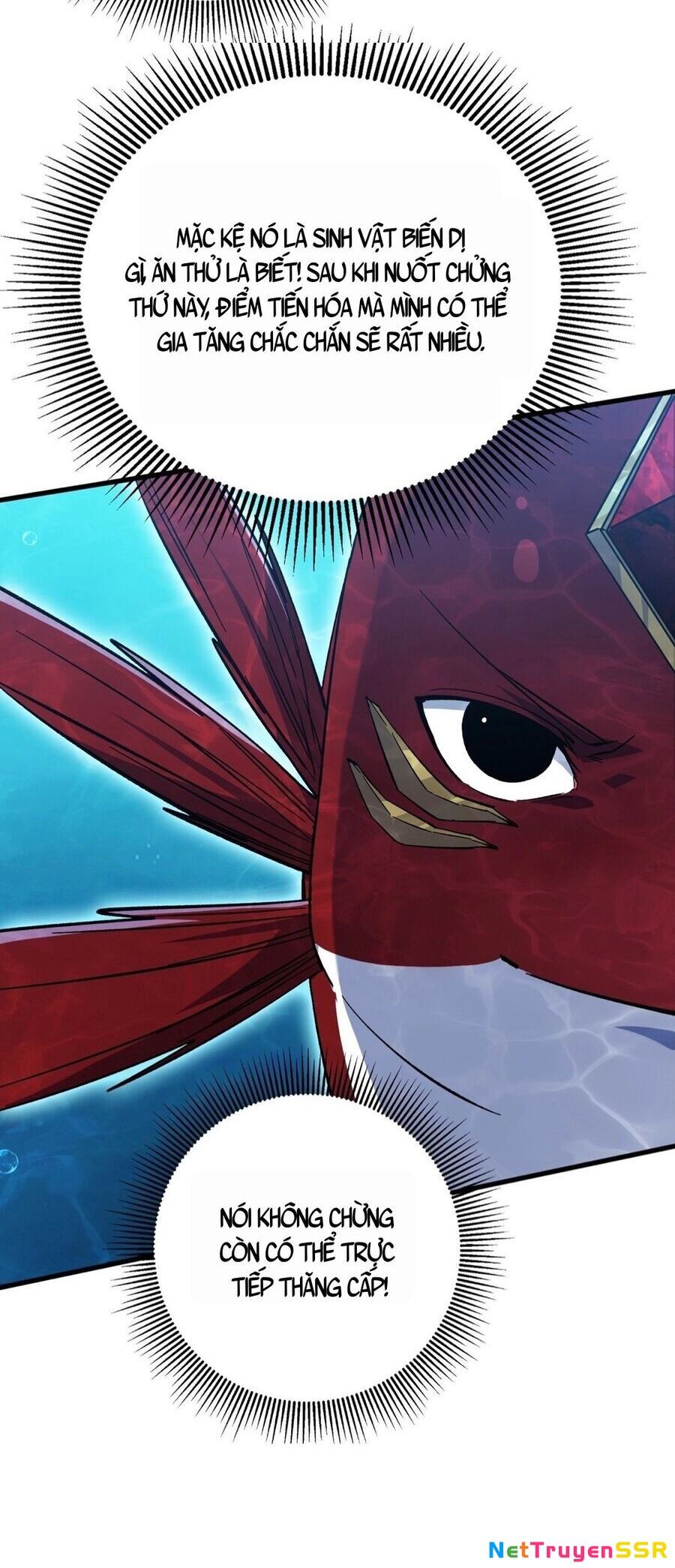 Linh Khí Khôi Phục: Từ Cá Chép Tiến Hóa Thành Thần Long Chapter 8 - 28