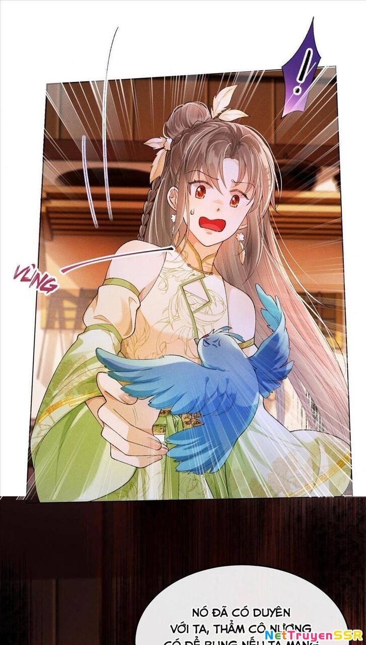 Nữ Phụ Không Muốn Nam Nữ Chính Chia Tay Chapter 8 - 17