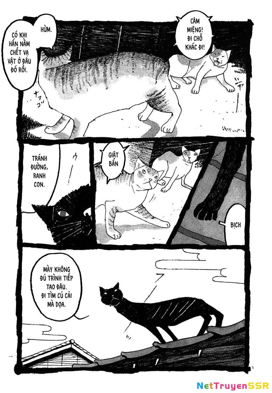 Samurai Kiếm Tre Chapter 30 - 5