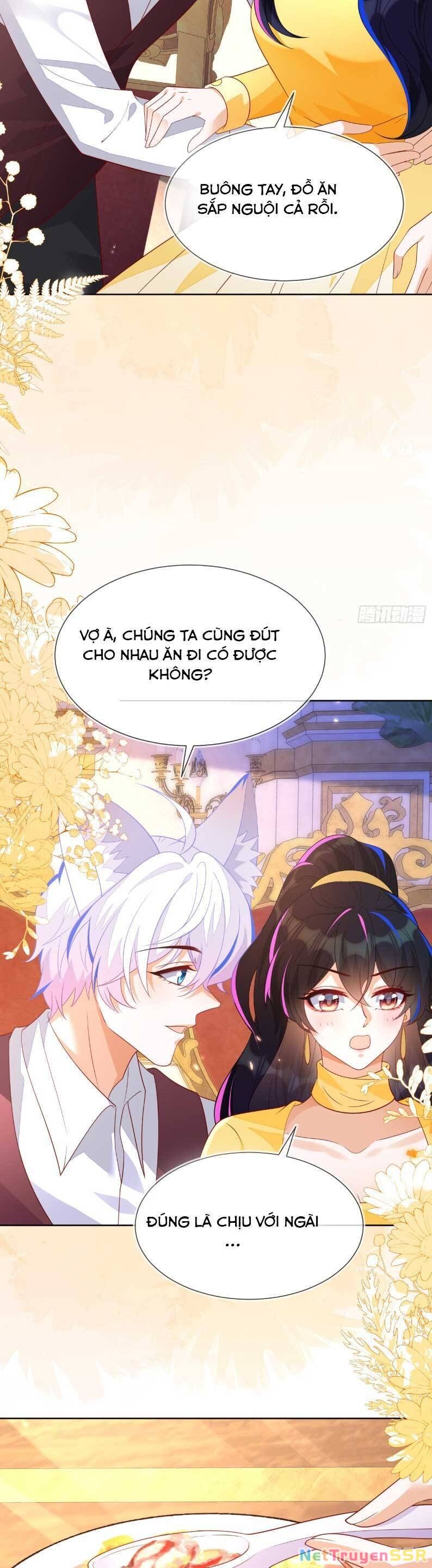 Vừa Mới Huỷ Hôn Đã Bị Dã Hồ Ly Lừa Kết Hôn Chapter 53 - 13