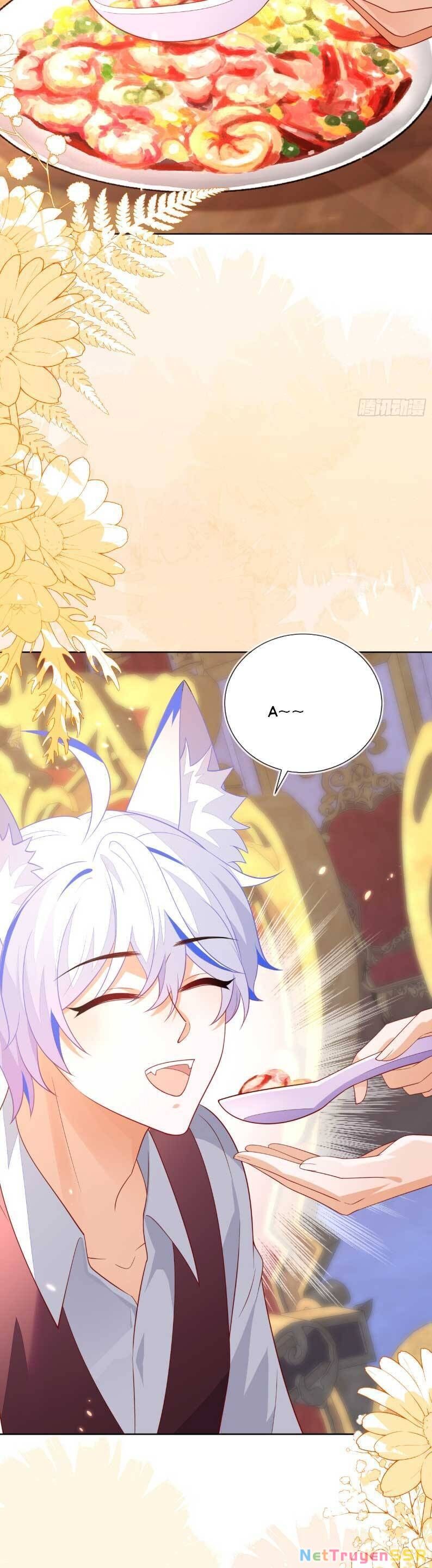 Vừa Mới Huỷ Hôn Đã Bị Dã Hồ Ly Lừa Kết Hôn Chapter 53 - 14