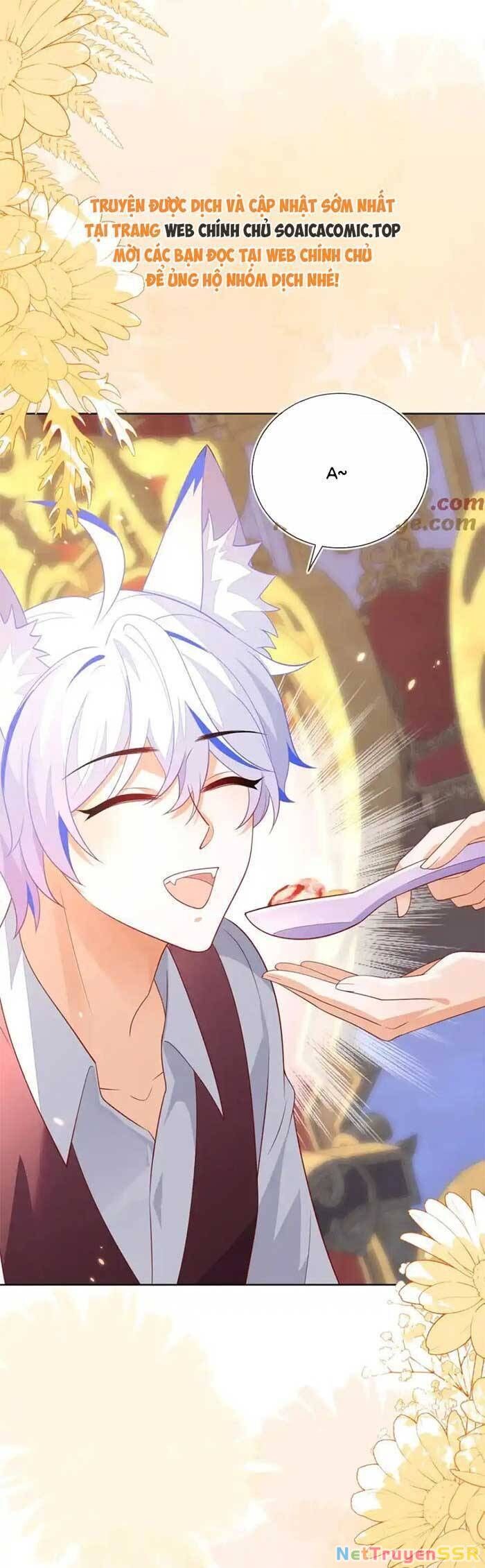 Kết Hôn Với Người Quyền Lực Nhất Hành Tinh Chapter 52 - 13
