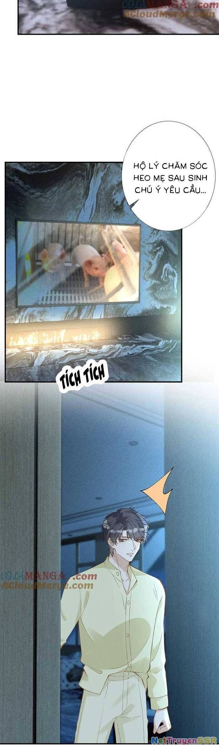 Ôm Khẩn Tiểu Mã Giáp Của Tôi Chapter 313 - 15