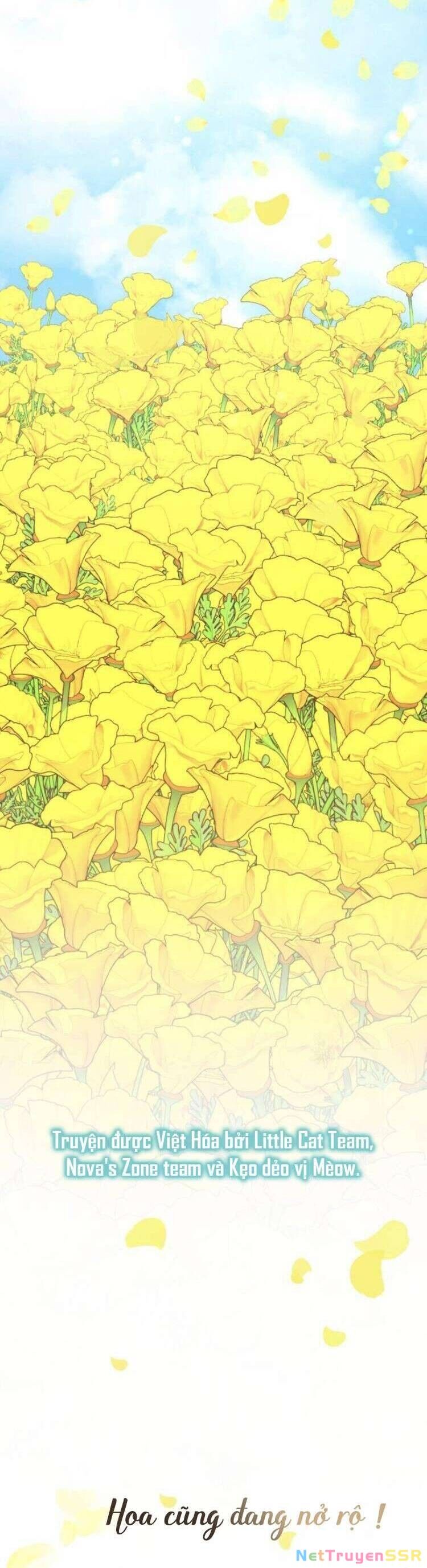 Đằng Sau Nụ Cười Của Nàng Công Chúa Chapter 17 - 36