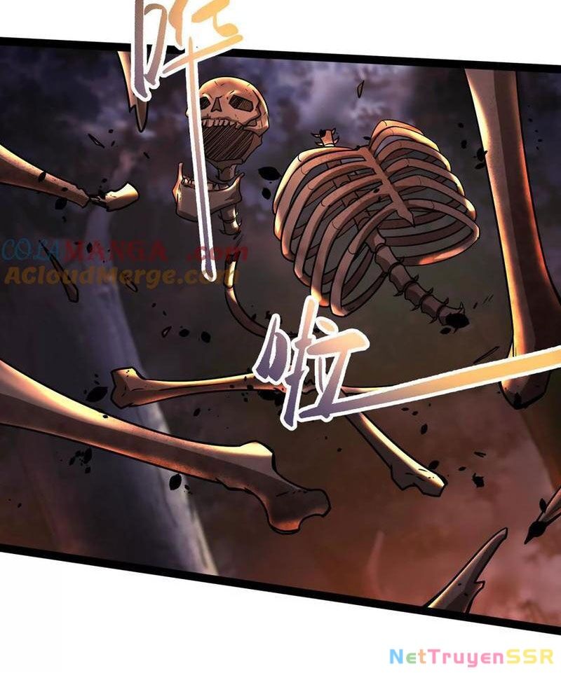 Đại Liên Minh Phản Xuyên Việt Của Bạo Quân Chapter 55 - 63