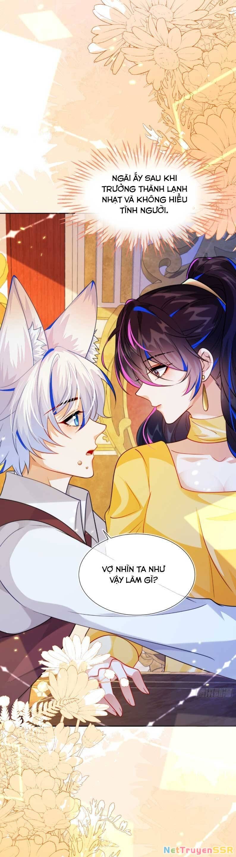 Vừa Mới Huỷ Hôn Đã Bị Dã Hồ Ly Lừa Kết Hôn Chapter 53 - 23