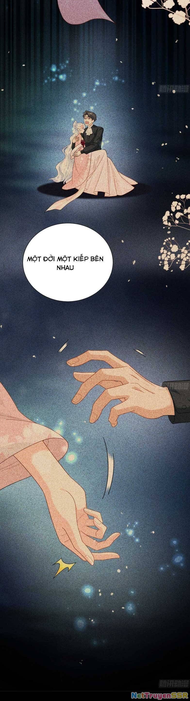 Bé Rồng Đột Kích! Mami Vừa Cay Vừa Độc Chapter 104 - 16