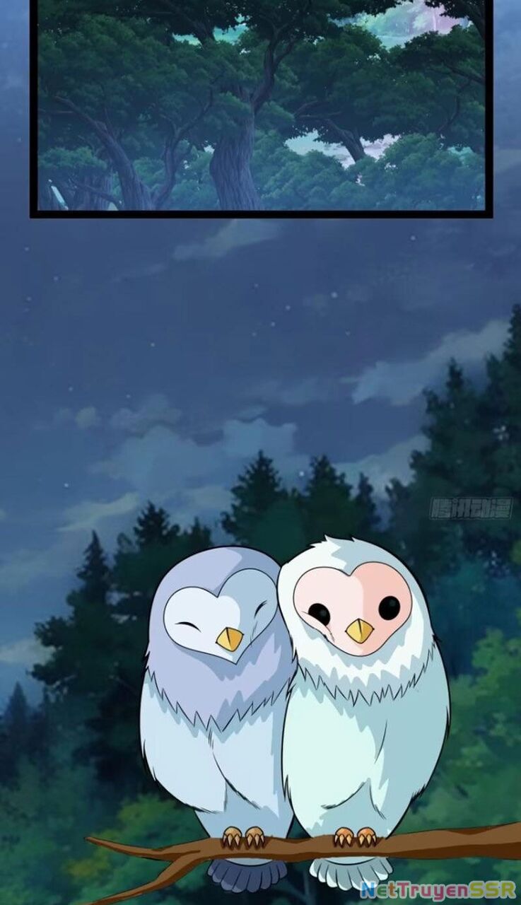 Trăm Tuổi Mở Hệ Thống, Hiếu Tử Hiền Tôn Quỳ Khắp Núi! Chapter 58 - 31