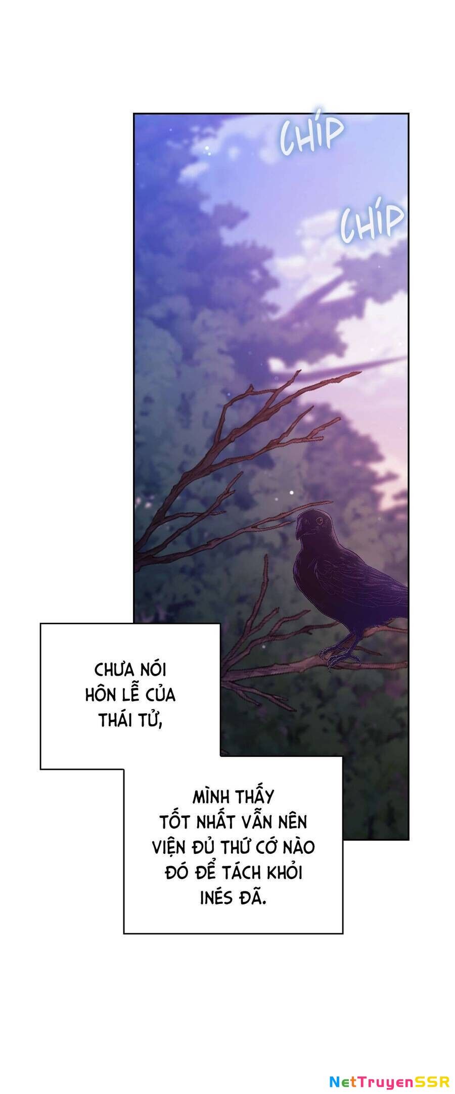 Hôn Nhân Này Rồi Sẽ Đổ Vỡ Chapter 73 - 31