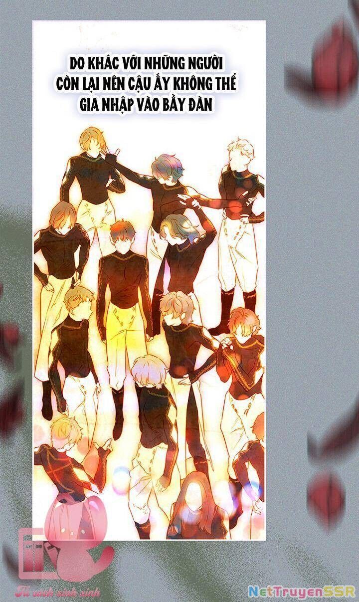 Khế Ước Hôn Nhân Của Mẹ Tôi Chapter 61 - 18