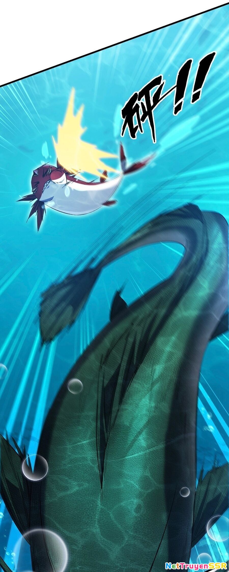 Linh Khí Khôi Phục: Từ Cá Chép Tiến Hóa Thành Thần Long Chapter 8 - 31
