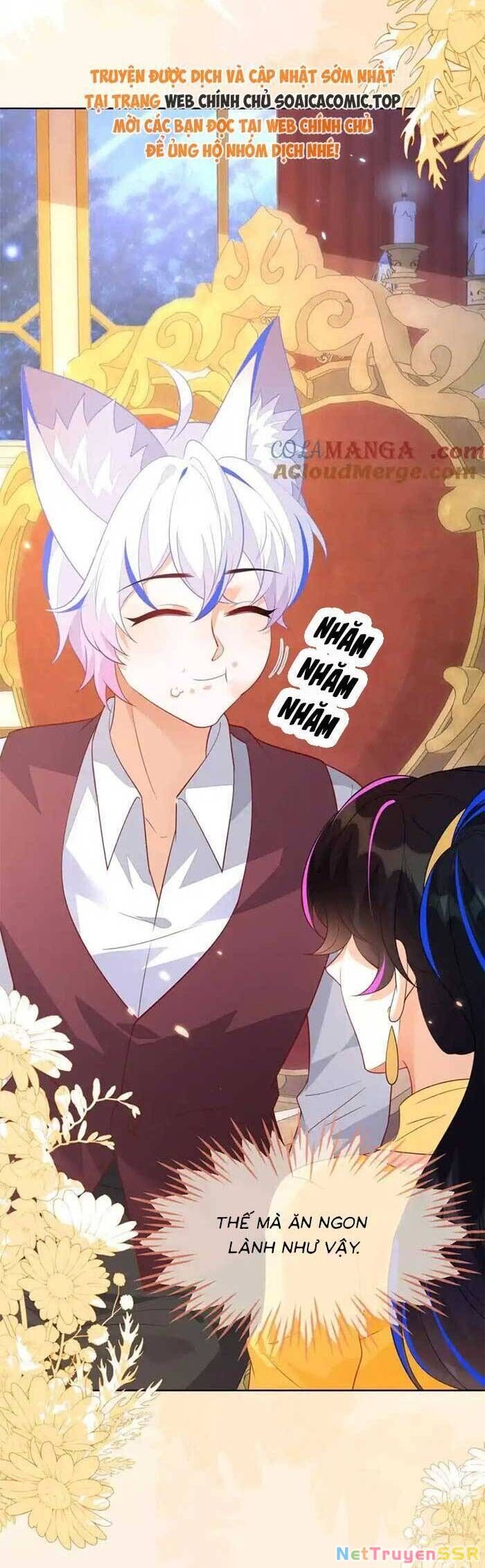 Kết Hôn Với Người Quyền Lực Nhất Hành Tinh Chapter 52 - 14