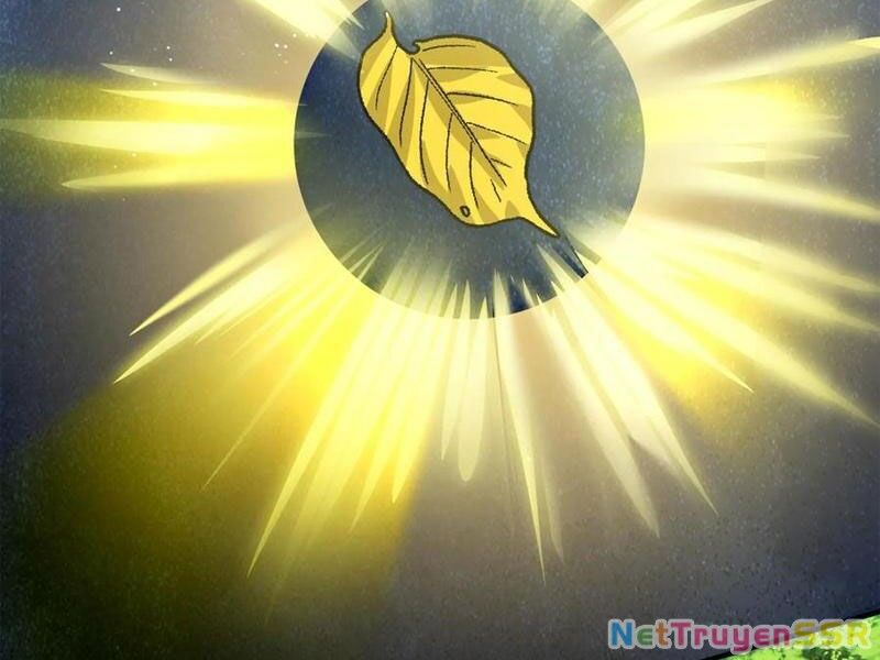 Bắt Đầu Livestream Ở Địa Phủ: Phát Sóng Trực Tiếp Ở Đây Ai Dám Đến Chapter 262 - 4