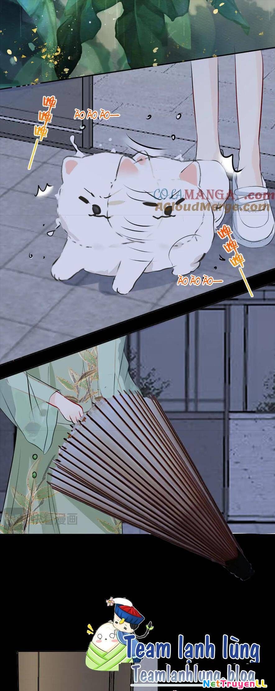 Mi Nhãn Chi Gian Chapter 14 - 11