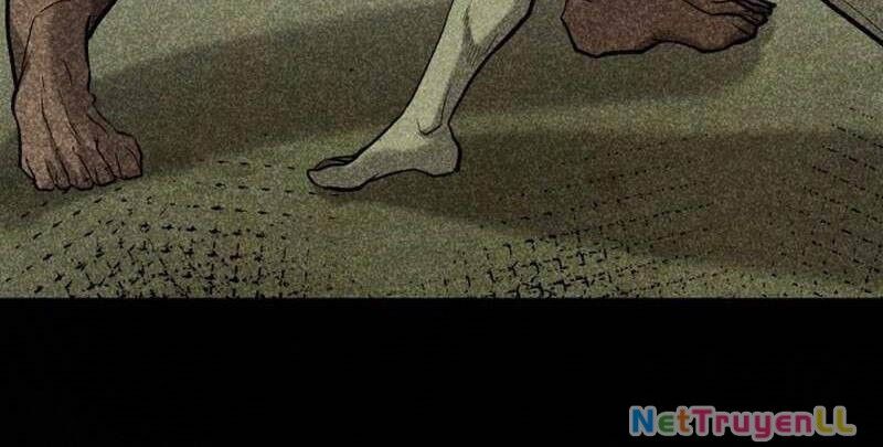 Kiếm Thánh Trọng Sinh Chapter 27 - 39