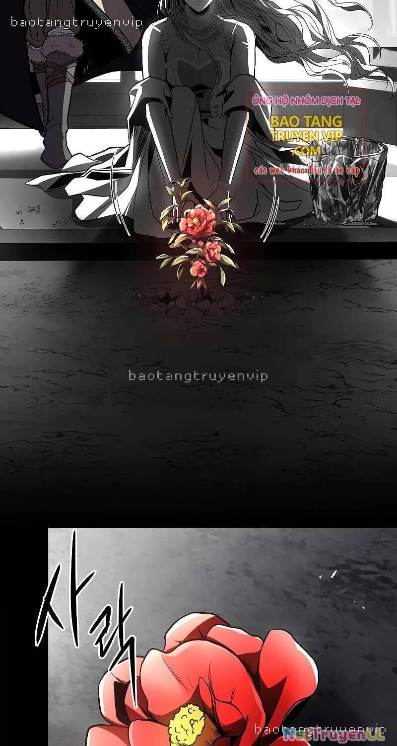 Thiên Tài Ma Pháp Sư Giấu Nghề Chapter 81 - 20