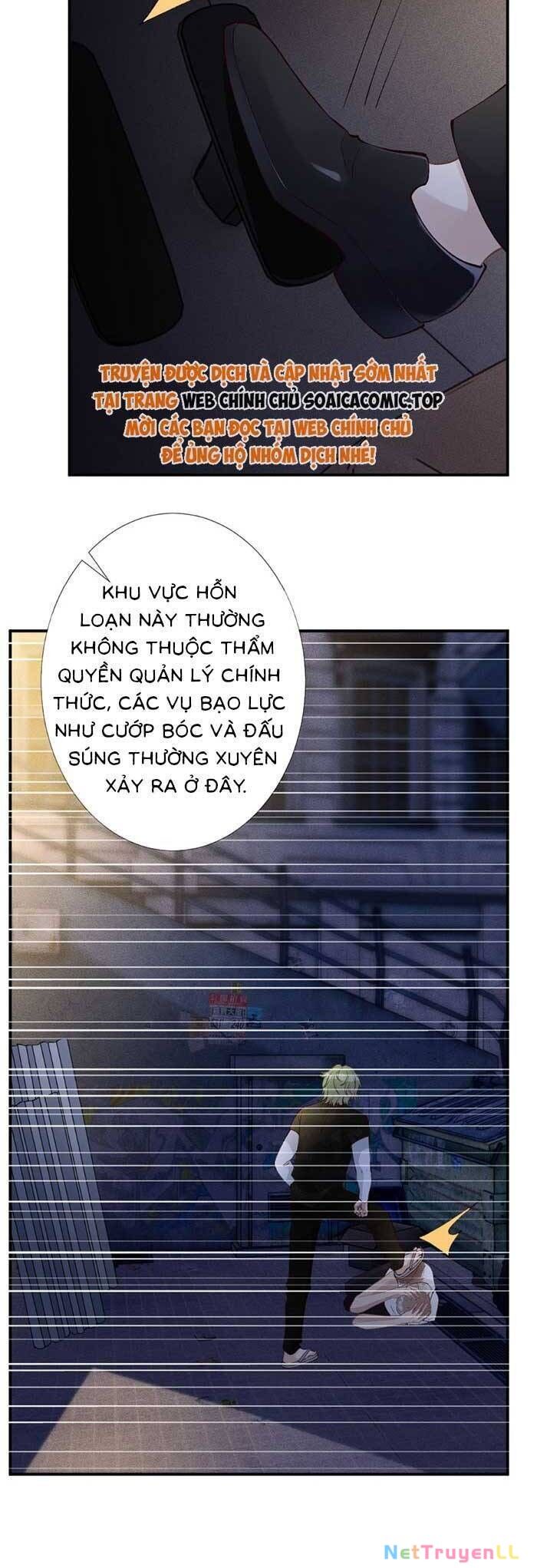 Ôm Khẩn Tiểu Mã Giáp Của Tôi Chapter 318 - 16