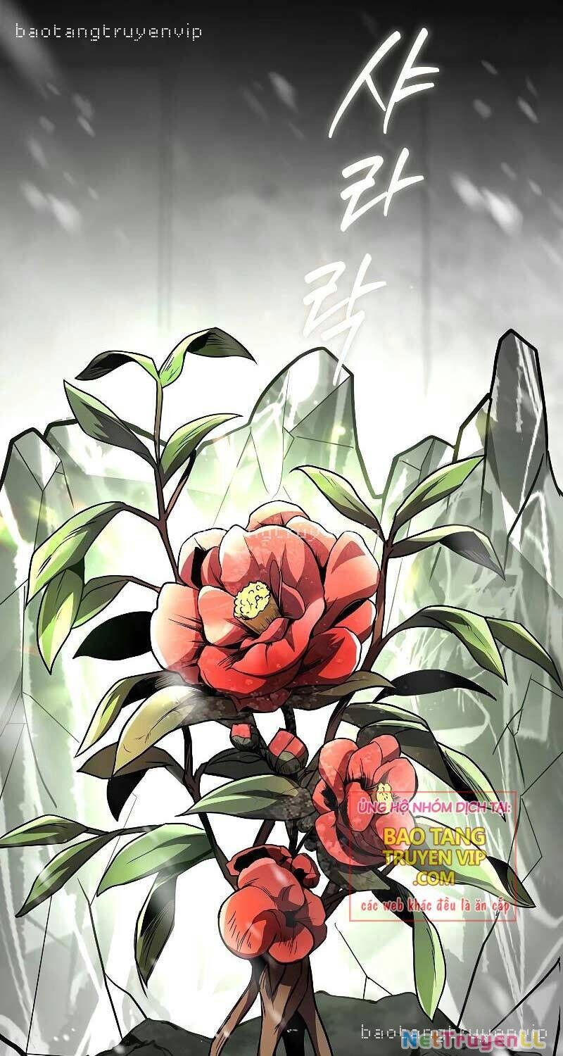 Thiên Tài Ma Pháp Sư Giấu Nghề Chapter 81 - 10