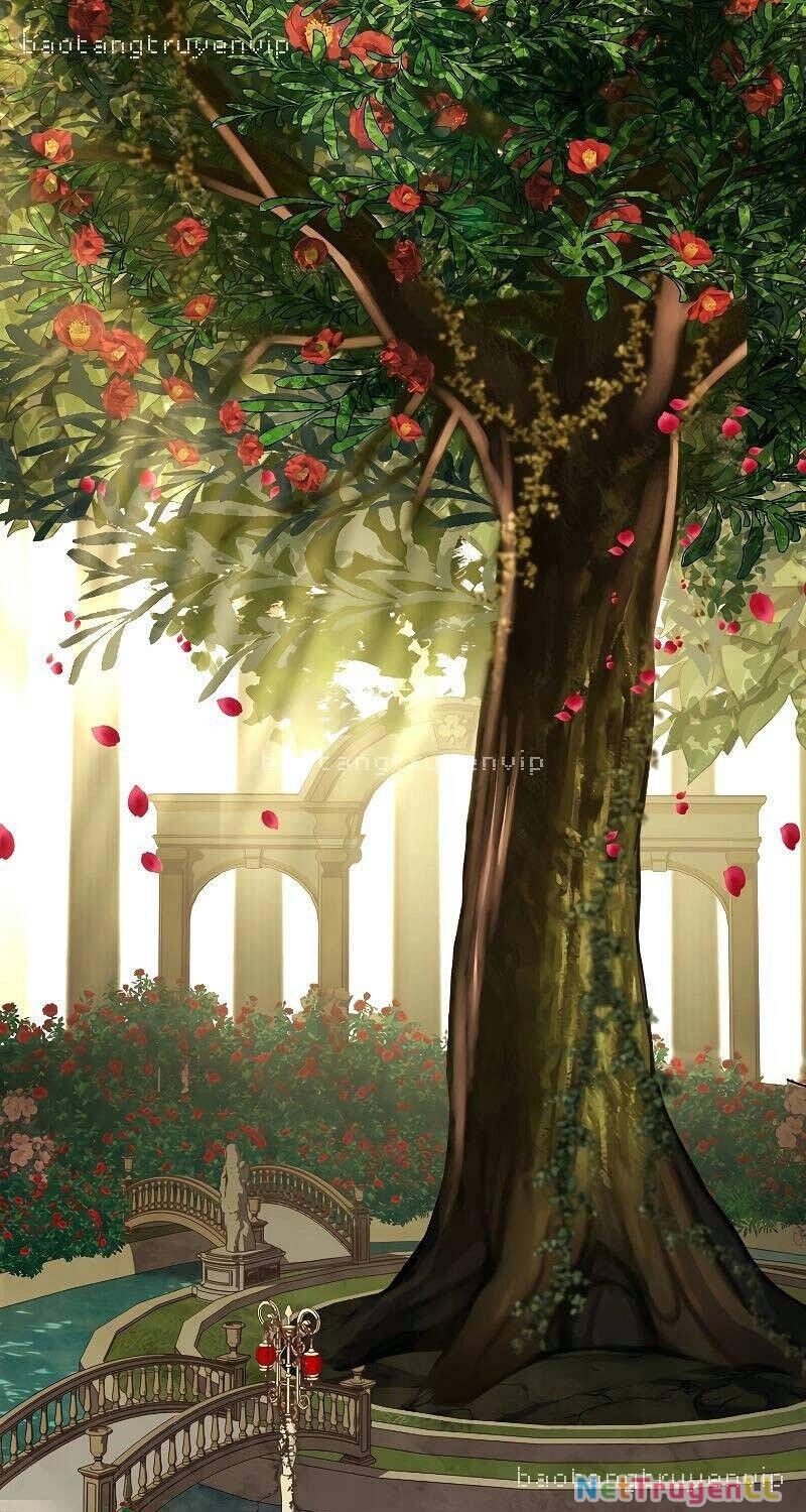 Thiên Tài Ma Pháp Sư Giấu Nghề Chapter 81 - 27