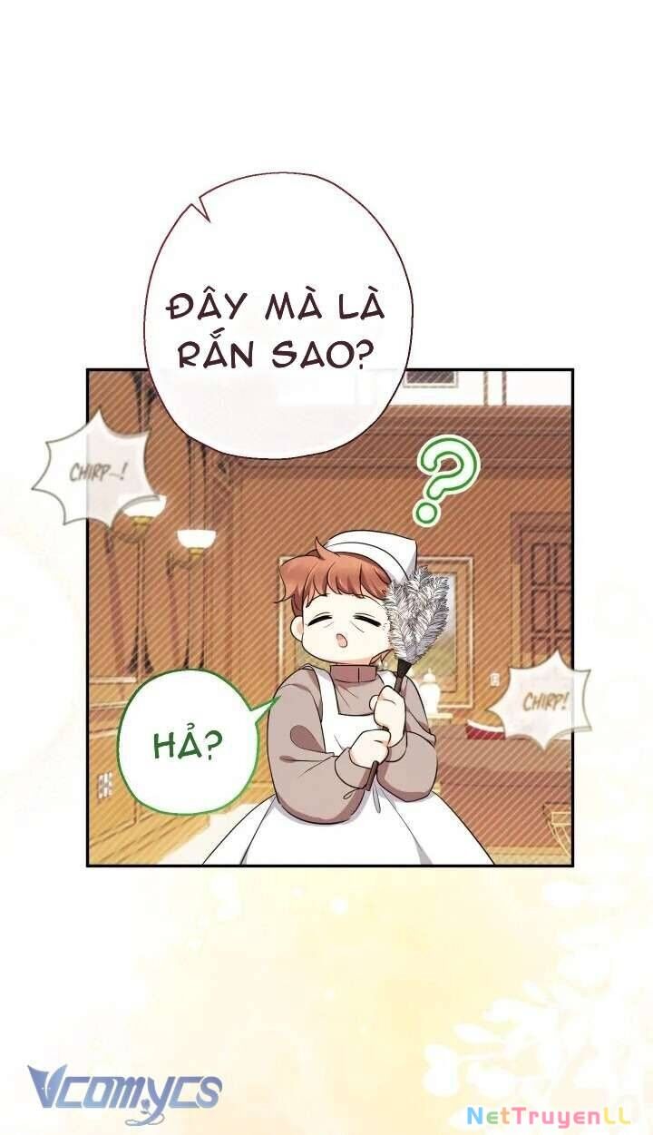 Tiểu Thư Tích Tiền Đi Bụi Chapter 54 - 62