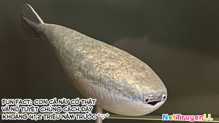 Spis, Nhân Viên Bán Hàng Chapter 1 - 2