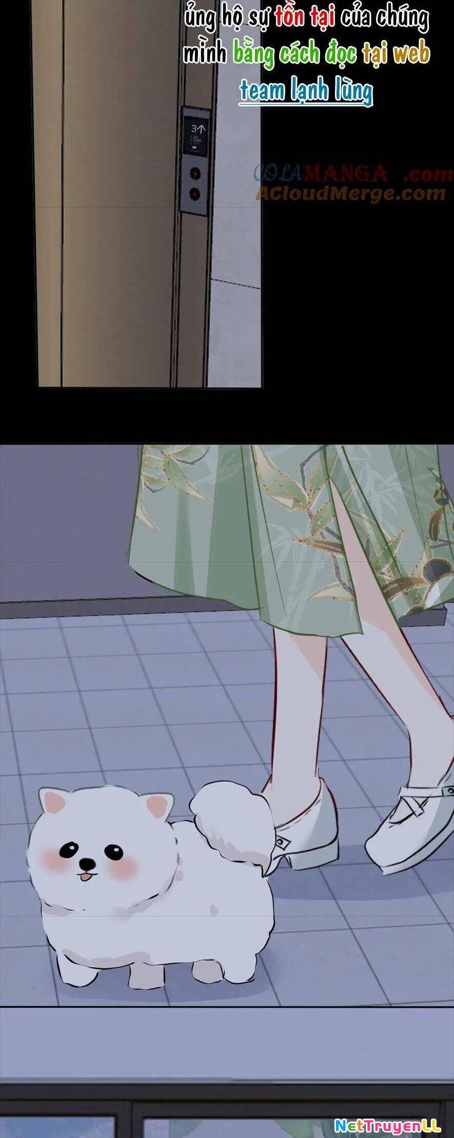 Mi Nhãn Chi Gian Chapter 14 - 12