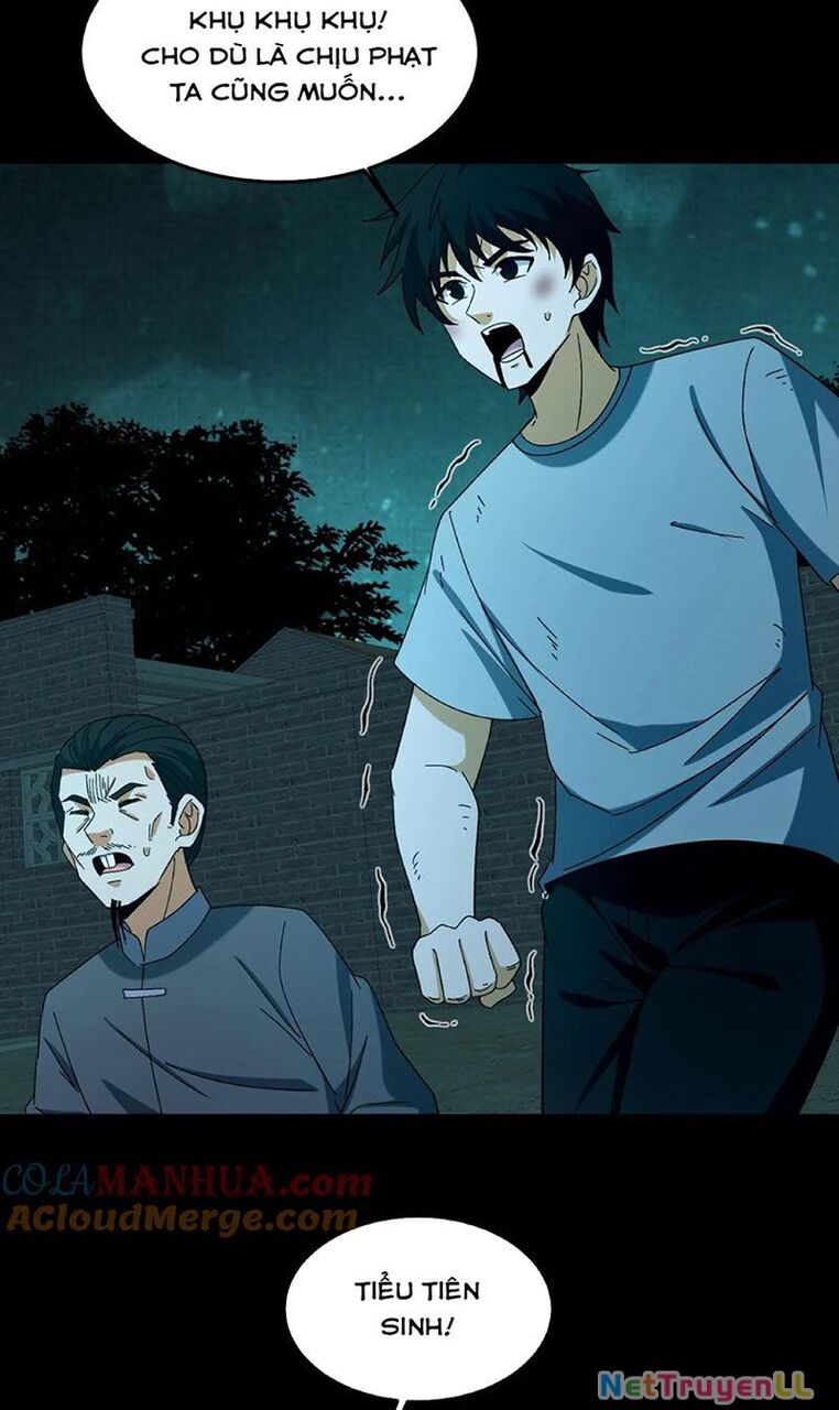 Ngày Tôi Sinh Ra, Bách Quỷ Dạ Hành, Tuyết Thi Hộ Đạo Chapter 158 - 14