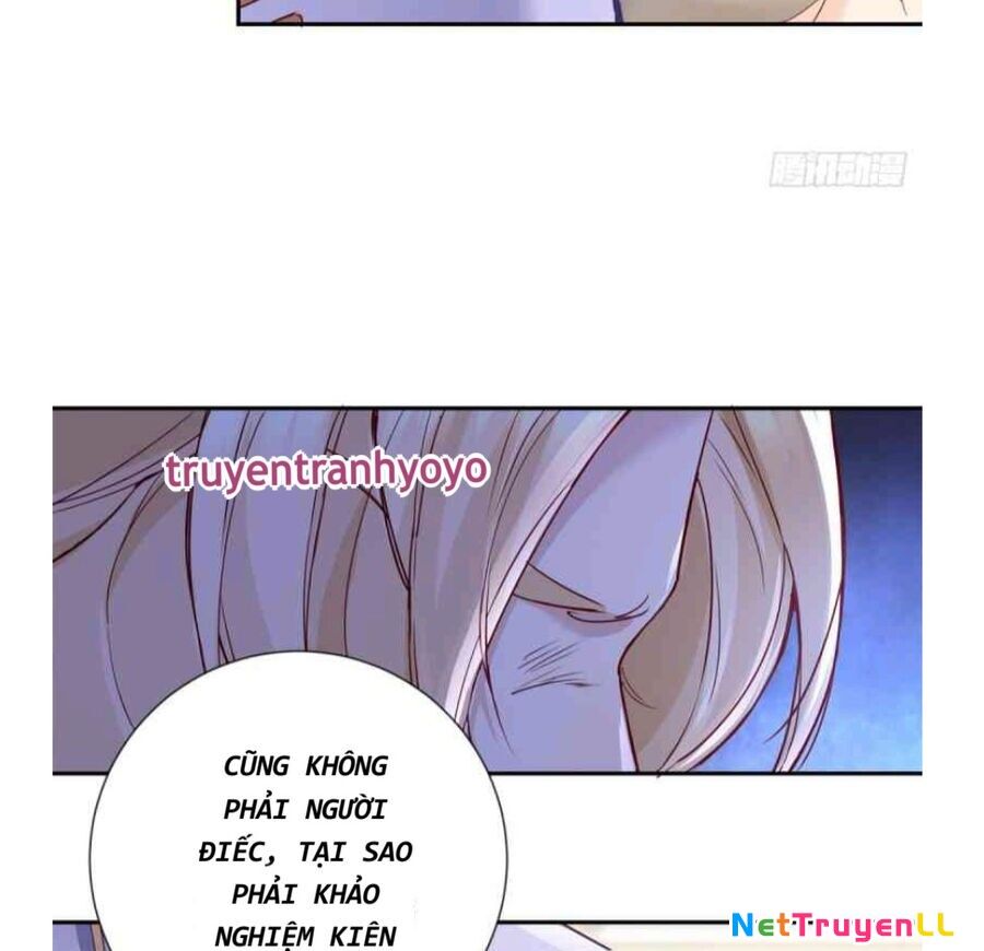 Phán Mại Cấp Vương Tử Chapter 2 - 41