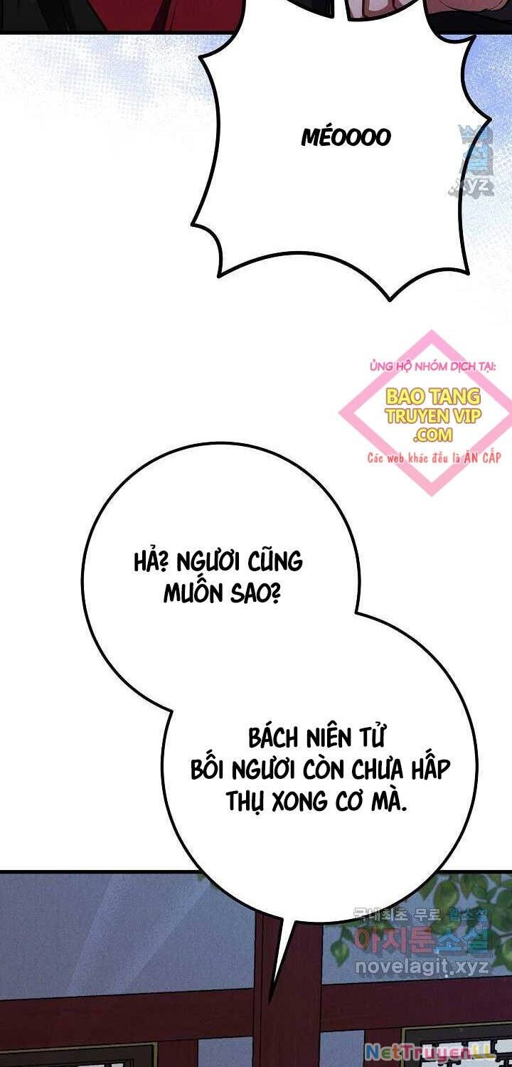 Thiên Tài Võ Thuật Hoàn Sinh Chapter 33 - 33