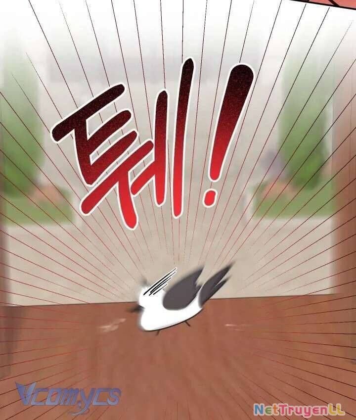 Tiểu Thư Tích Tiền Đi Bụi Chapter 54 - 56