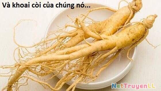 Hổ Đến Chơi Nhà Chapter 100 - 77