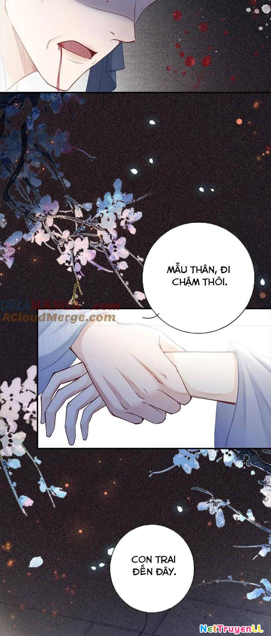 Ngỗ Tác Cẩm Y Chapter 41 - 2