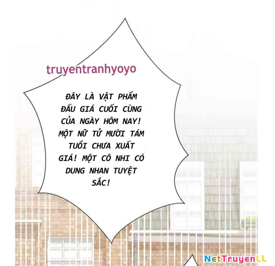 Phán Mại Cấp Vương Tử Chapter 2 - 5