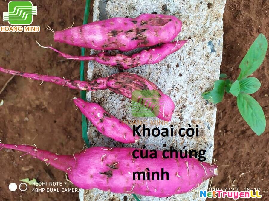 Hổ Đến Chơi Nhà Chapter 100 - 76