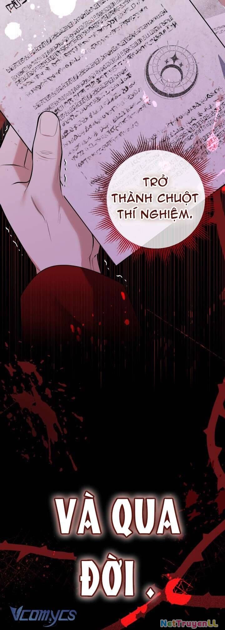 Tiểu Thư Tích Tiền Đi Bụi Chapter 53 - 53