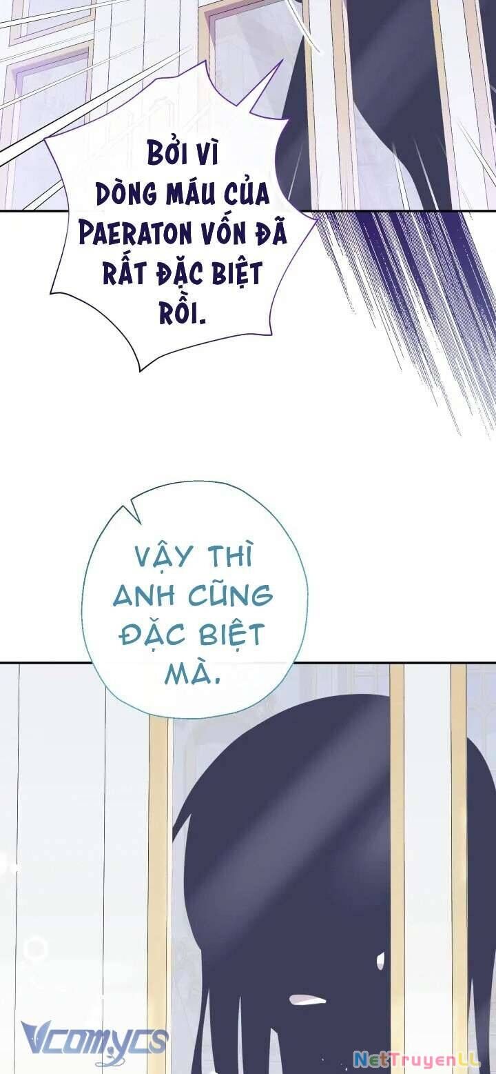 Tiểu Thư Tích Tiền Đi Bụi Chapter 54 - 36