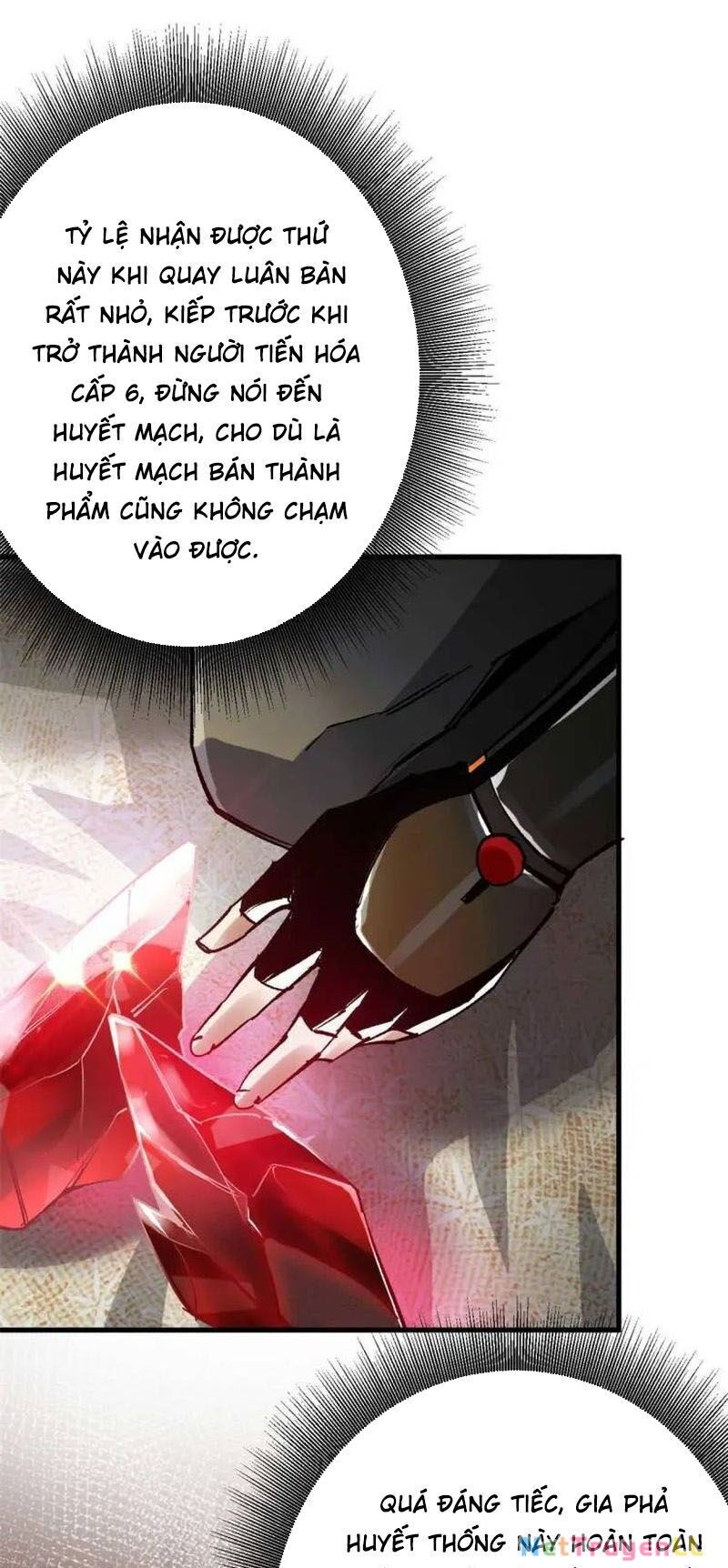 Luân Bàn Thế Giới Chapter 197 - 24