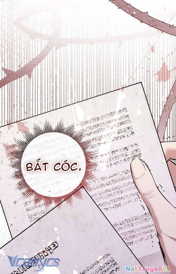 Tiểu Thư Tích Tiền Đi Bụi Chapter 53 - 52