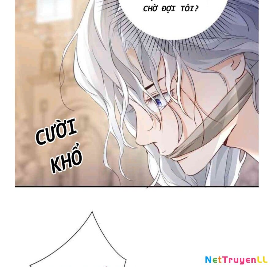 Phán Mại Cấp Vương Tử Chapter 2 - 11