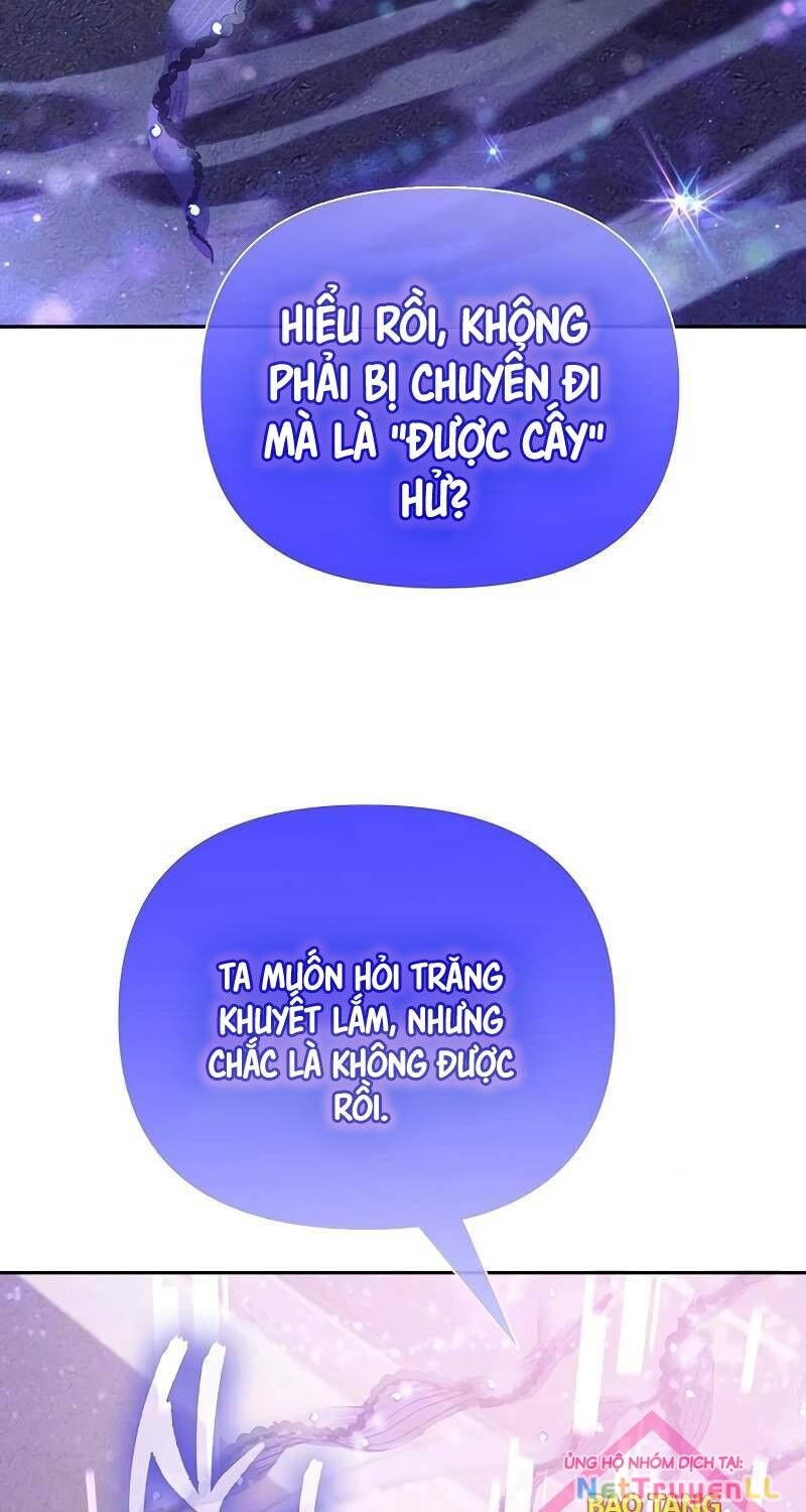 Những Ranker Cấp S Mà Tôi Nuôi Dưỡng Chapter 144 - 37