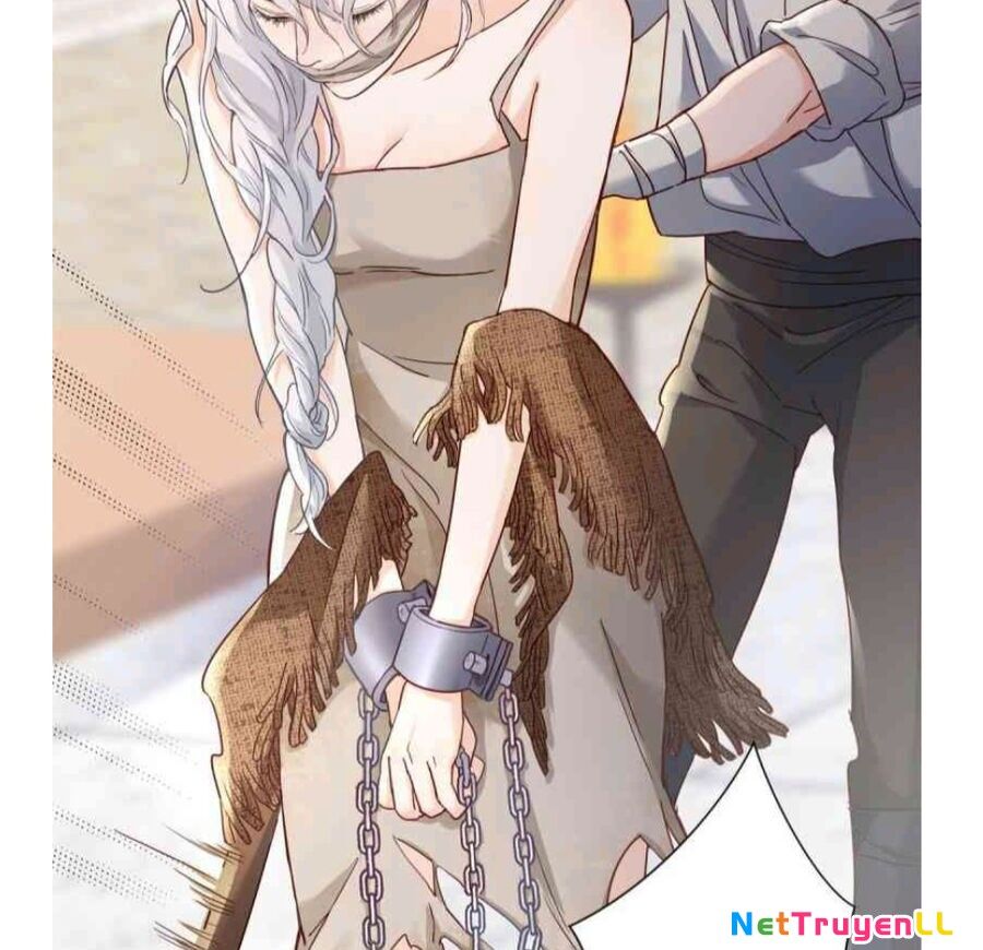 Phán Mại Cấp Vương Tử Chapter 2 - 3