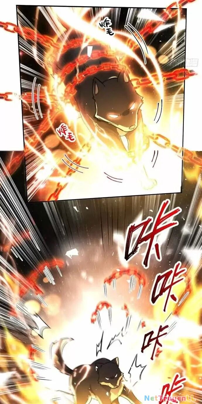 Nguyên Lai Ta Là Tu Tiên Đại Lão Chapter 430 - 34