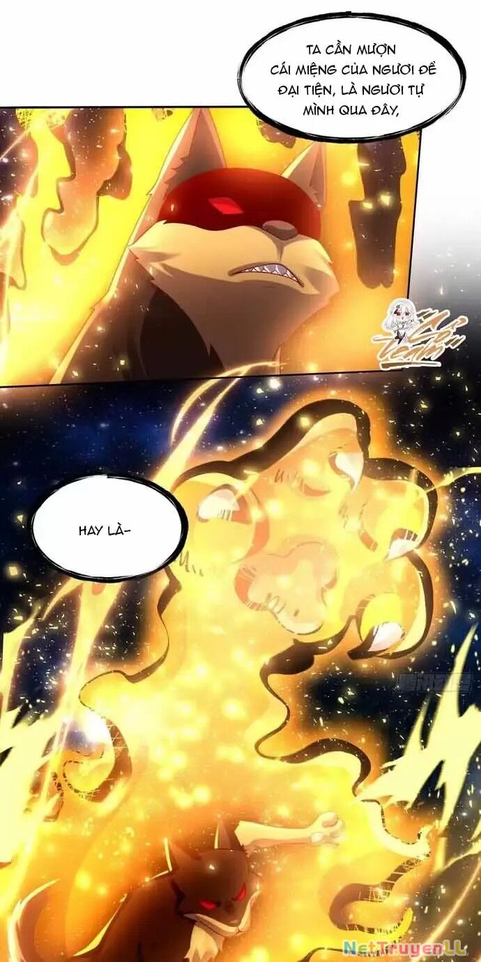 Nguyên Lai Ta Là Tu Tiên Đại Lão Chapter 430 - 15