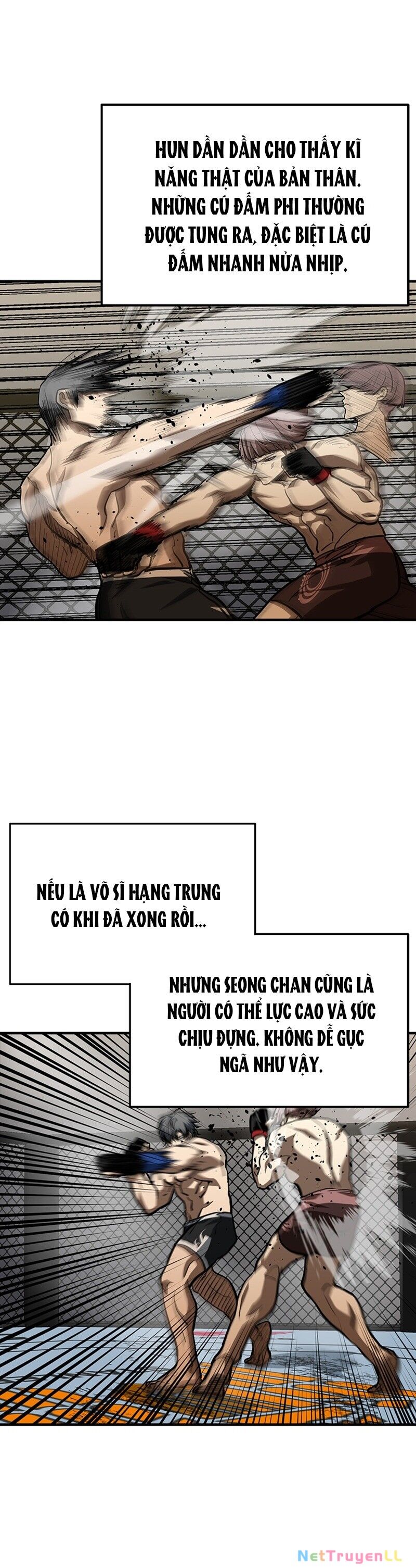 Vua Võ Đài Chapter 53 - 17