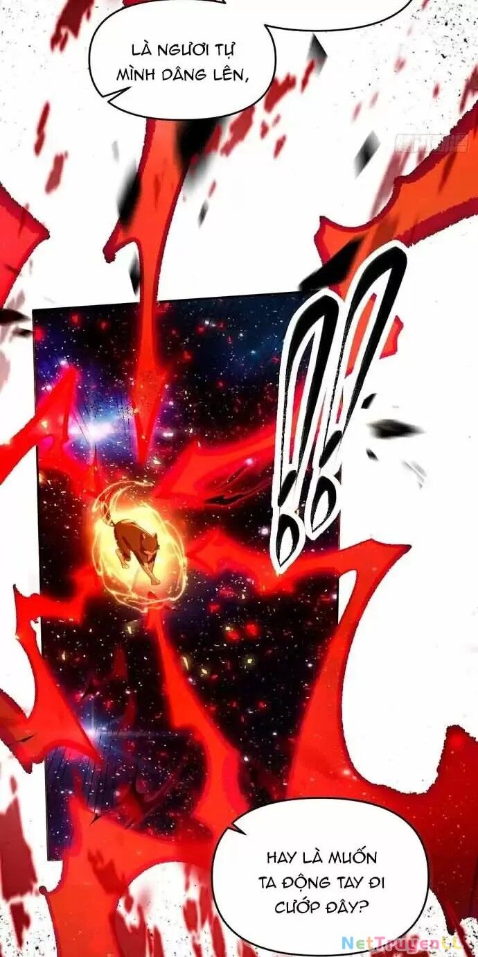 Nguyên Lai Ta Là Tu Tiên Đại Lão Chapter 430 - 12