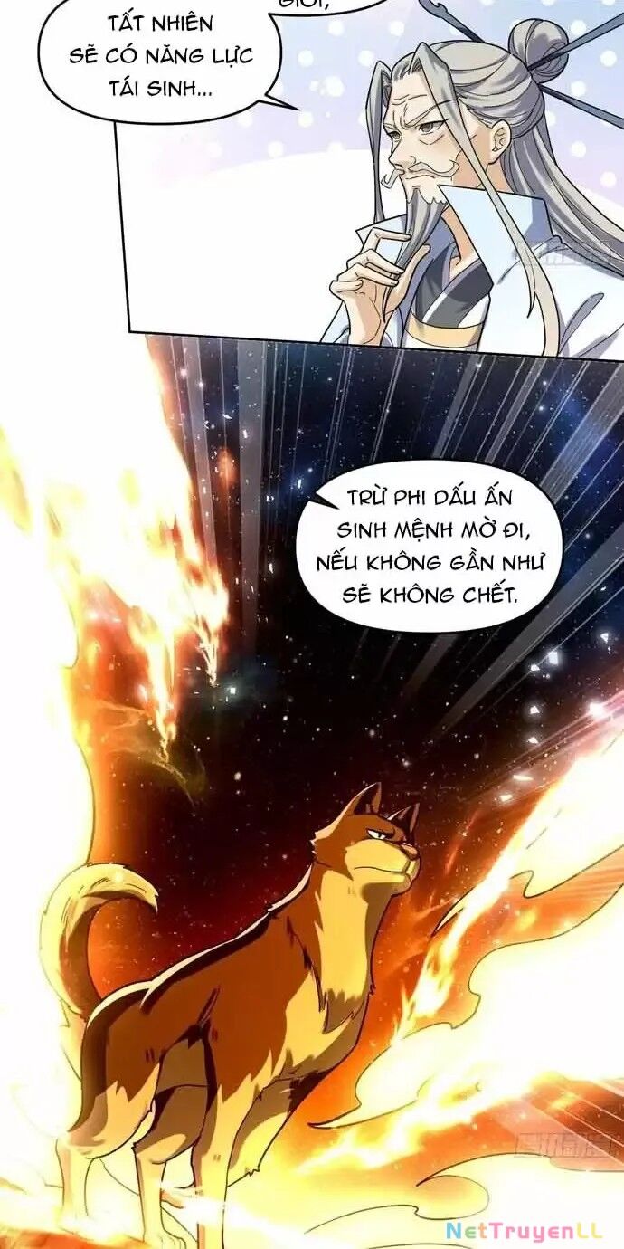 Nguyên Lai Ta Là Tu Tiên Đại Lão Chapter 430 - 38
